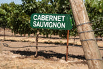 Le Cabernet-Sauvignon