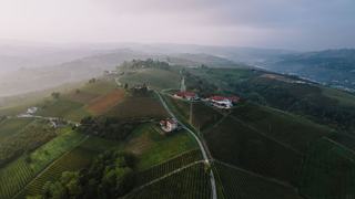 Influence du climat sur le vin, du degré aux vendanges