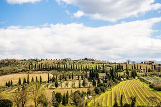 Quel vin italien choisir, de la Toscane au Piémont ?