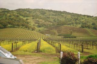 Vin américain, de la Californie aux Finger Lakes
